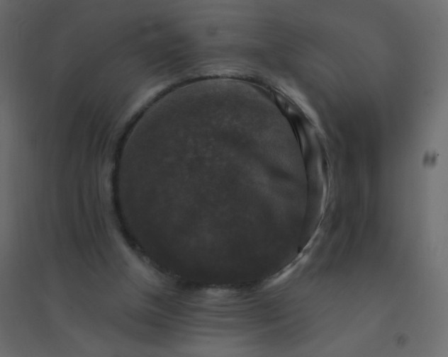 X0000094940154200712131608