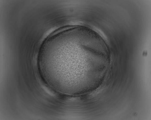 X0000094940155200712131608