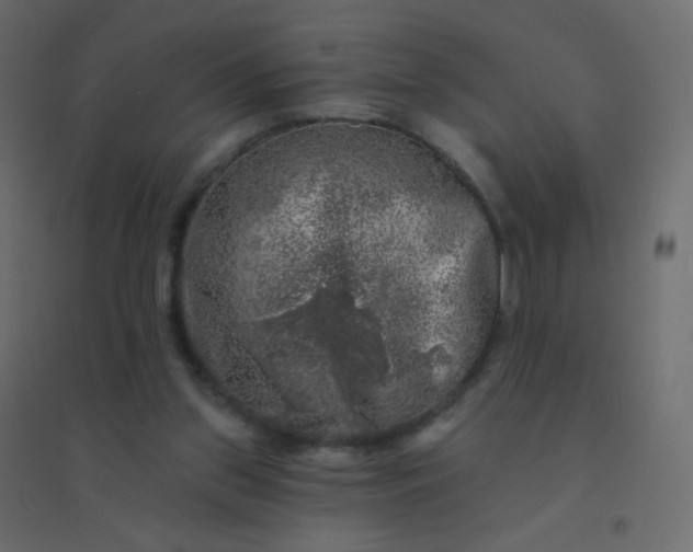 X0000094940157200712131608