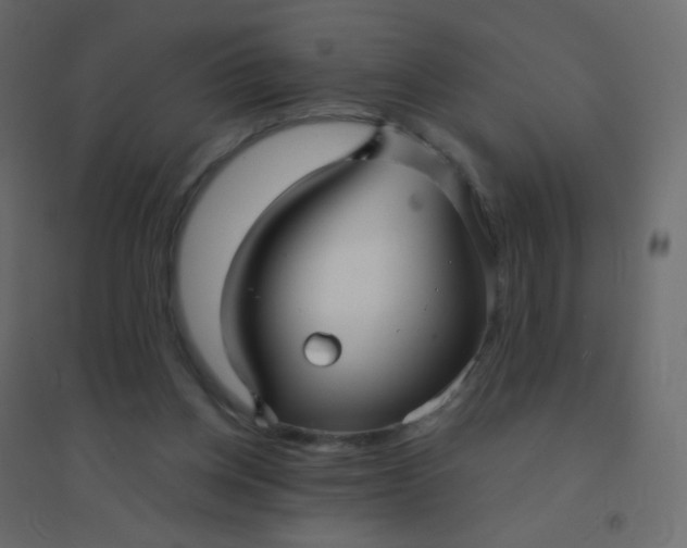 X0000094940158200712131608