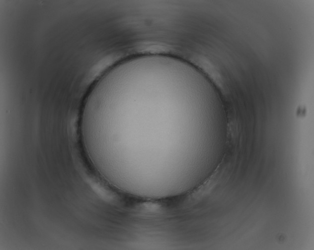 X0000094940159200712131608