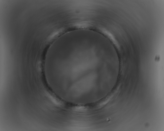 X0000094940161200712131608