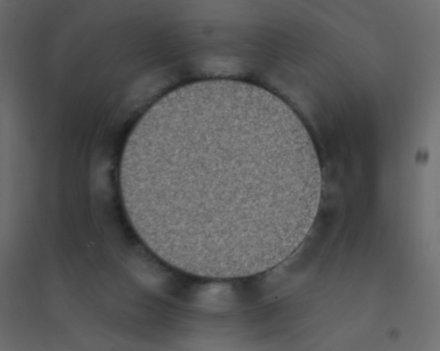 X0000094940162200712131608