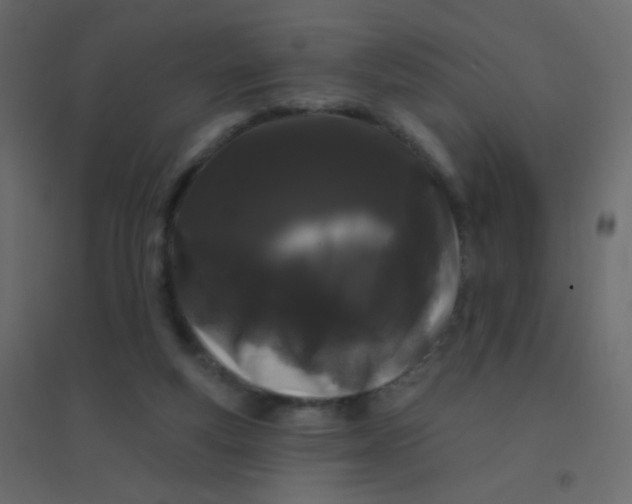 X0000094940163200712131608