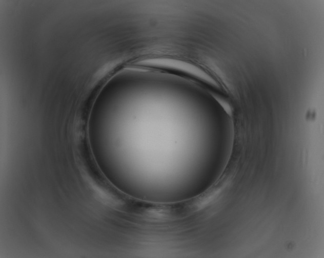 X0000094940164200712131608