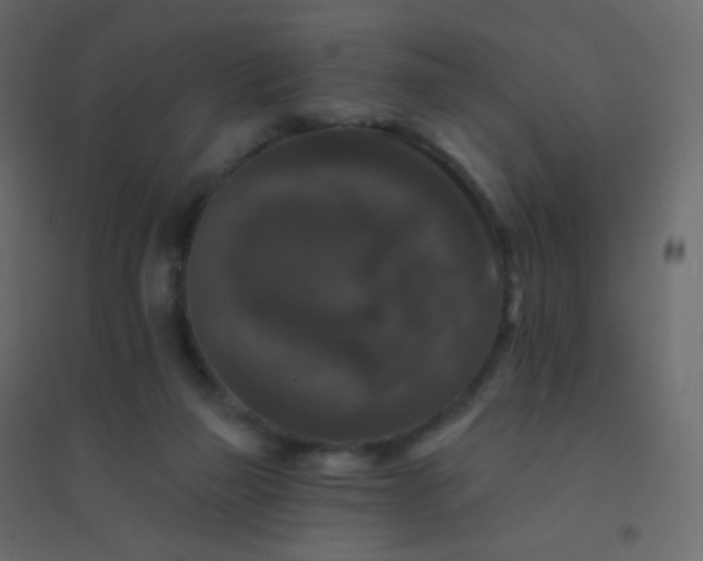 X0000094940165200712131608