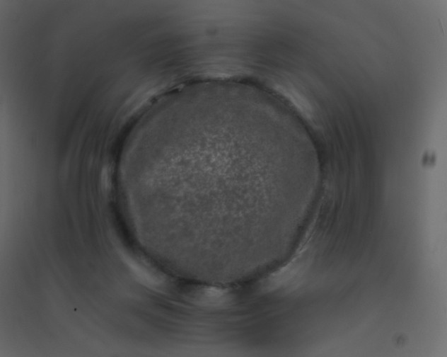 X0000094940166200712131608