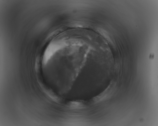 X0000094940167200712131608