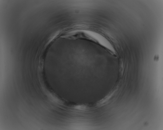 X0000094940168200712131608