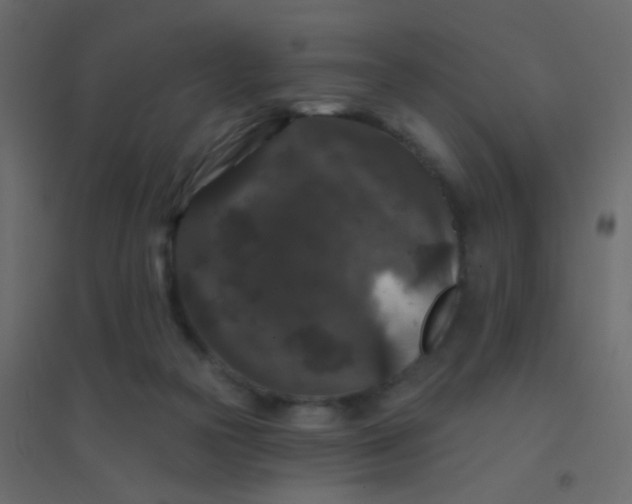 X0000094940169200712131608