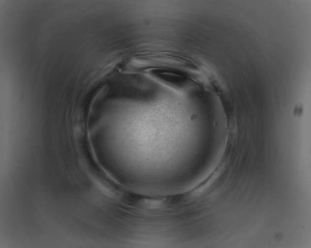 X0000094940170200712131608