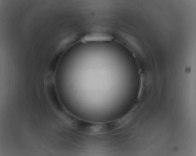 X0000094940172200712131608