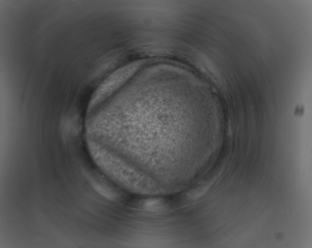 X0000094940173200712131608