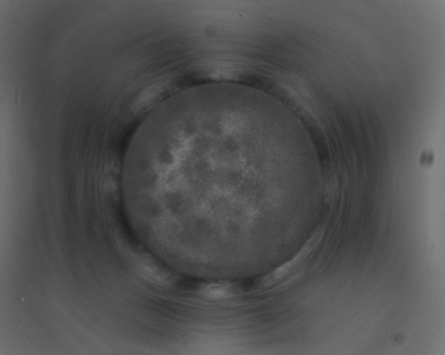 X0000094940175200712131608