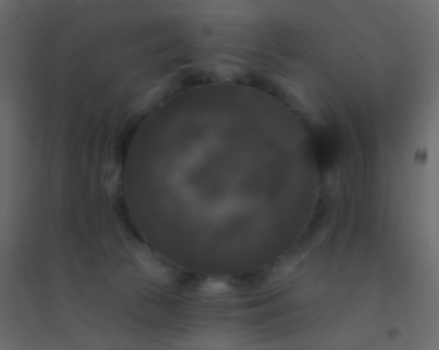 X0000094940177200712131608