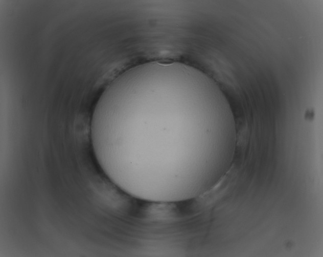 X0000094940179200712131608