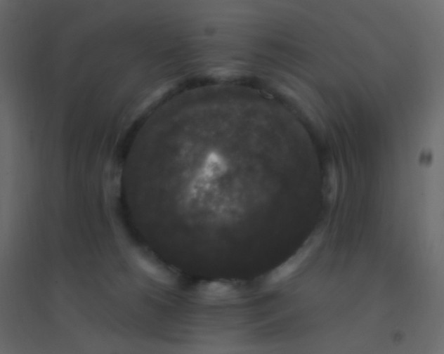 X0000094940180200712131608