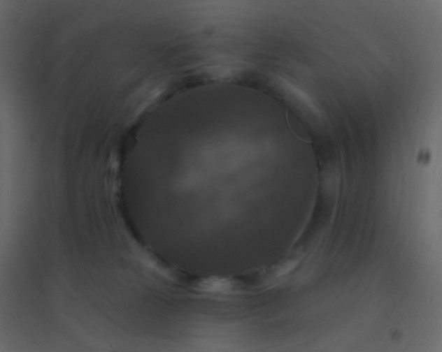 X0000094940181200712131608