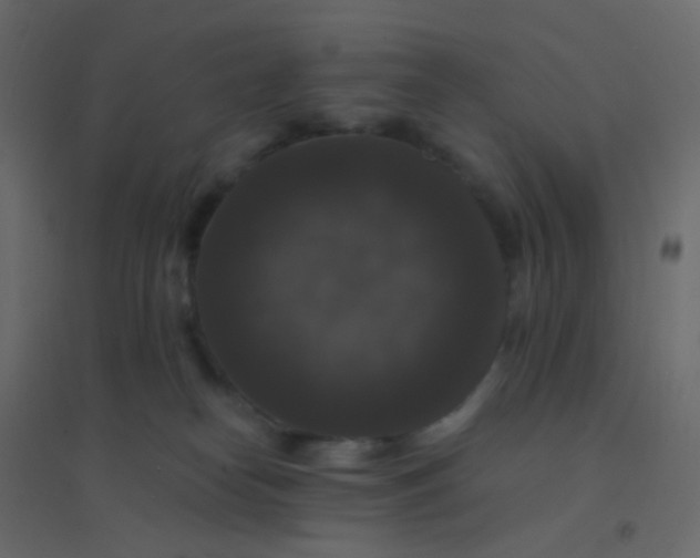 X0000094940182200712131608