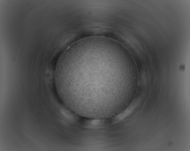 X0000094940184200712131608