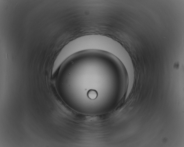 X0000094940185200712131608