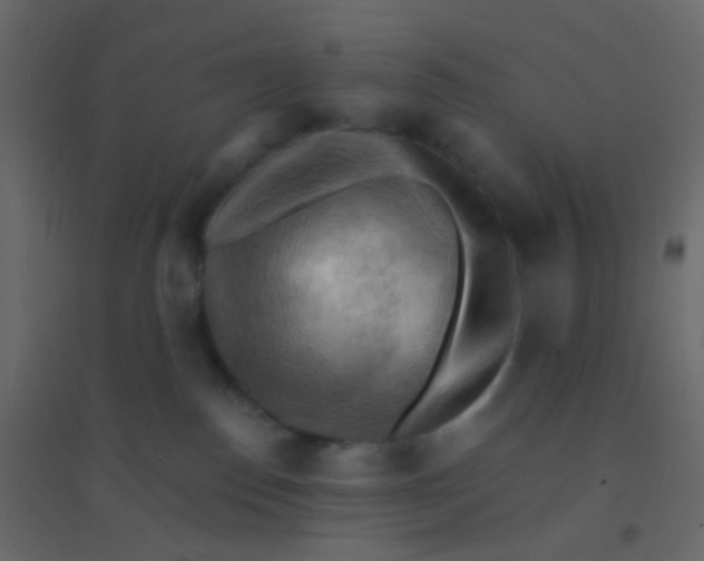 X0000094940186200712131608