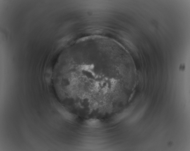 X0000094940189200712131608