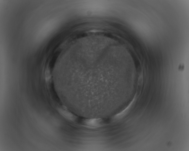 X0000094940191200712131608