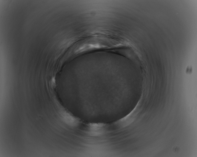 X0000094940192200712131608