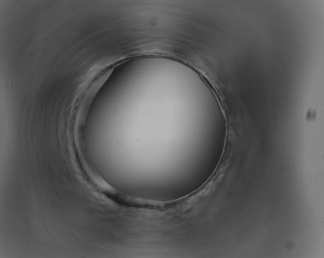 X0000094940193200712131607