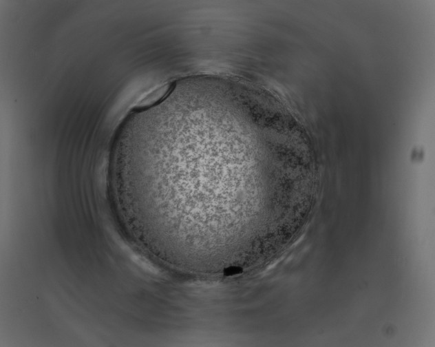 X0000094940194200712131607