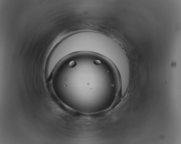 X0000094940195200712131607