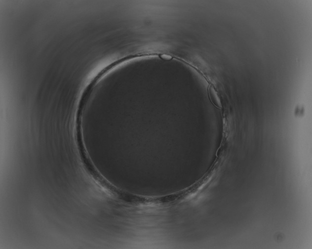 X0000094940196200712131607