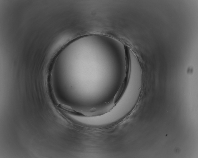 X0000094940197200712131607