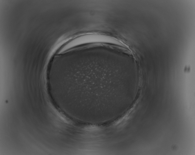 X0000094940198200712131607