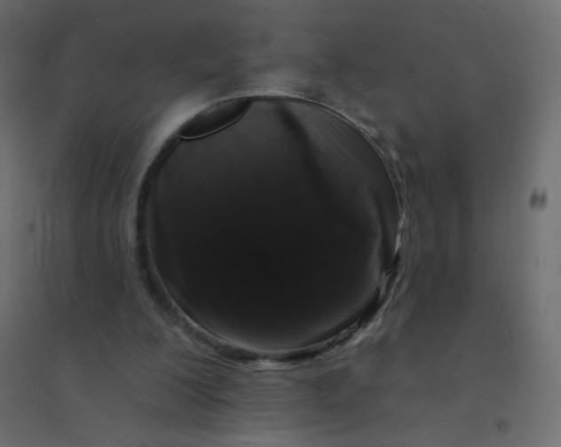 X0000094940200200712131607