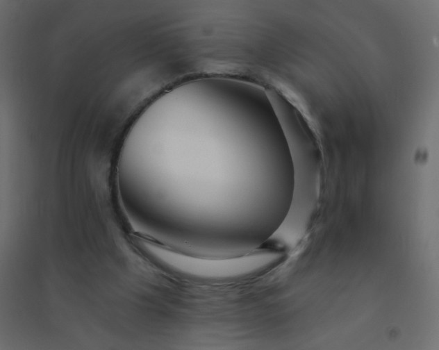 X0000094940201200712131607