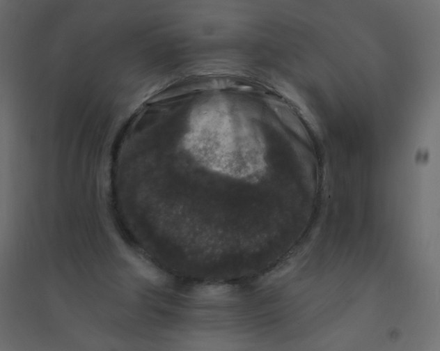 X0000094940202200712131607