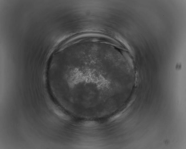 X0000094940203200712131607