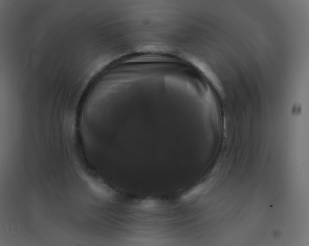 X0000094940204200712131607