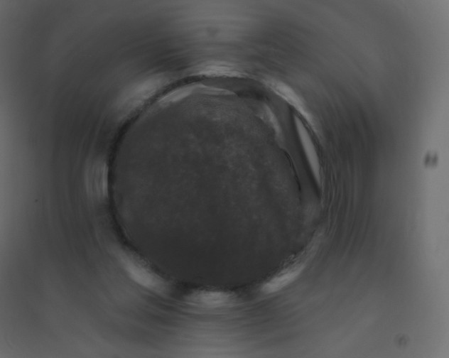 X0000094940205200712131607