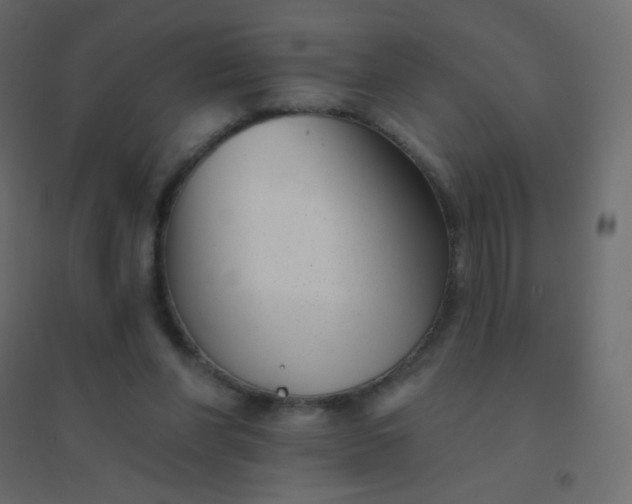 X0000094940206200712131607