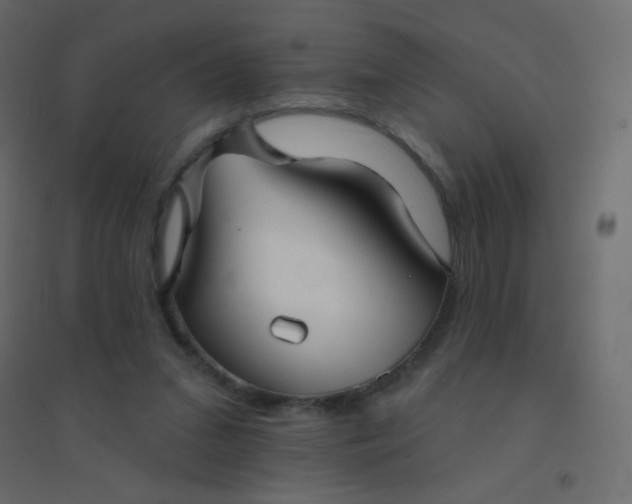 X0000094940207200712131607