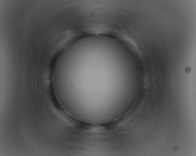 X0000094940210200712131607