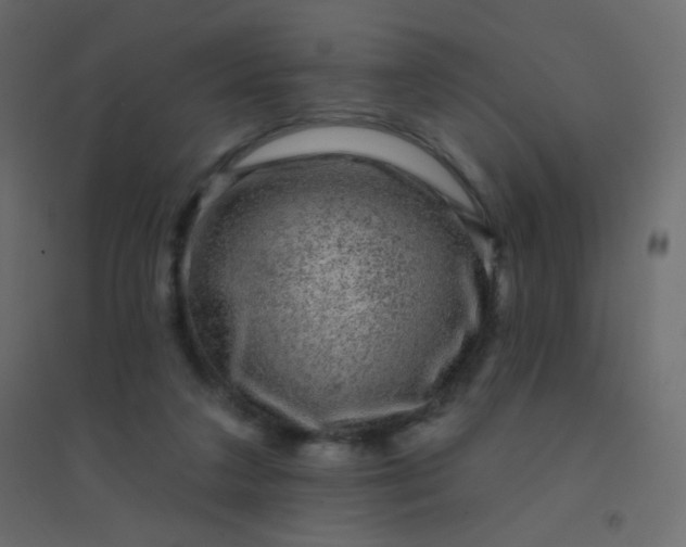 X0000094940211200712131607