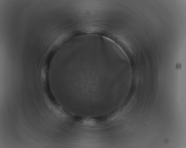 X0000094940214200712131607