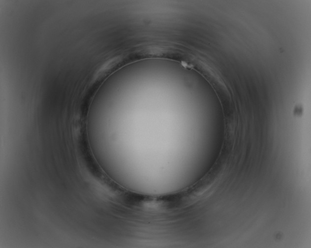 X0000094940216200712131607