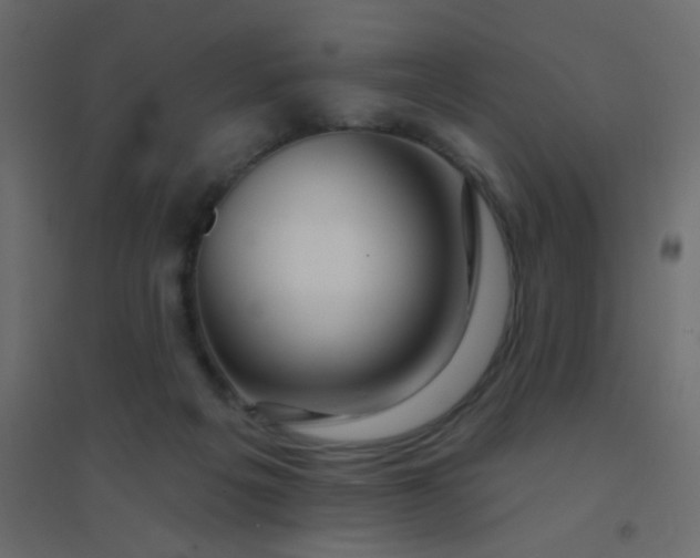 X0000094940217200712131607