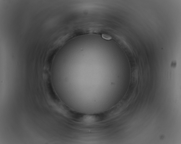 X0000094940218200712131607