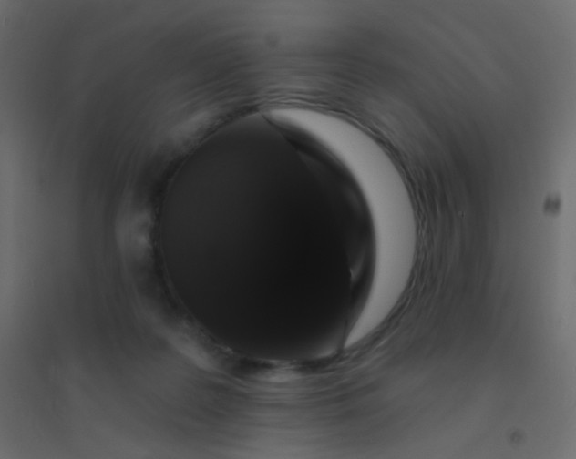 X0000094940219200712131607